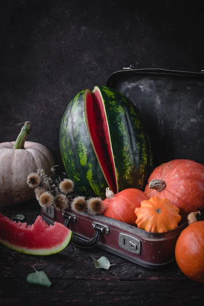 Eski bavulla karpuz ve kabaklar