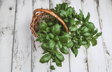 Taze yeşil fesleğen yaprakları sepetin içinde beyaz ahşap arka planda, yakın plan, üst manzara