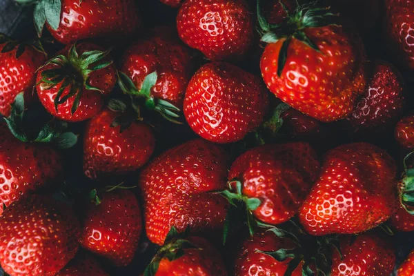 Taze olgun kırmızı çileklere yakın çekim, seçici odak