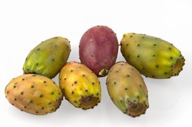 meyve opuntia ficus-indica