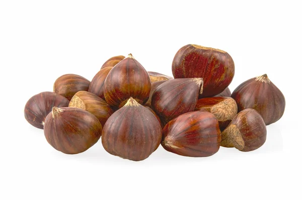 Castanea sativa, sweet chestnut — Φωτογραφία Αρχείου