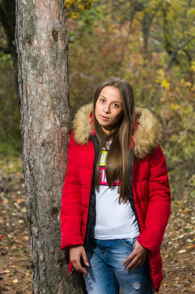 Mujer joven sola en un bosque con abrigo rojo —  Fotos de Stock