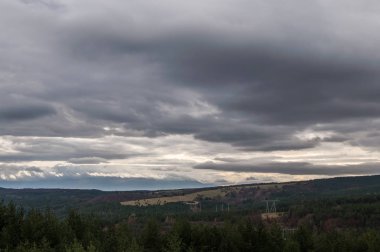 Hills ormanları ile