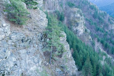 Rila mountian Bulgaristan
