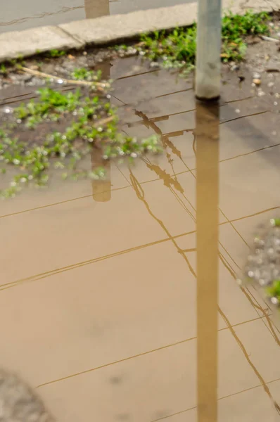 Reflection in large puddle on an overcast day — Stock Photo, Image