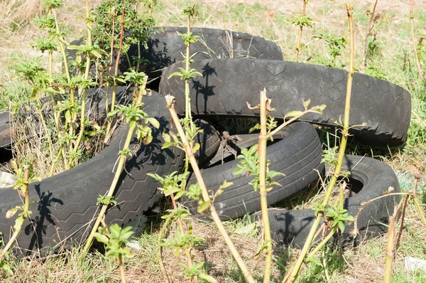 Uçan güvercinler sürüsü