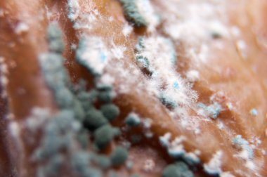 Buruşuk ve çürük kahverengi armut izole