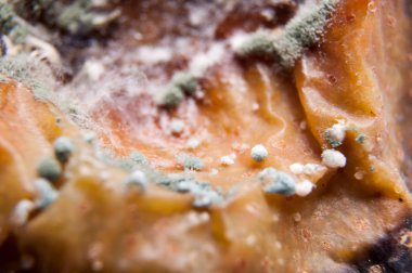 Buruşuk ve çürük kahverengi armut izole