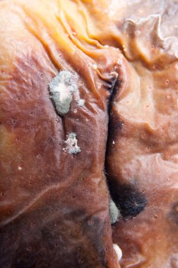 Buruşuk ve çürük kahverengi armut izole