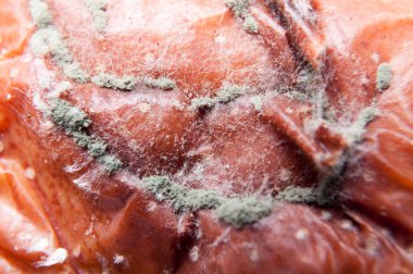 Buruşuk ve çürük kahverengi armut izole