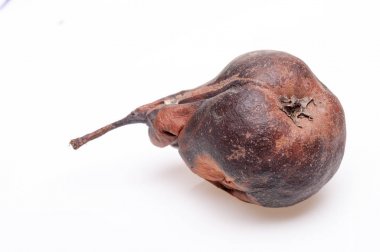 Buruşuk ve çürük kahverengi armut izole