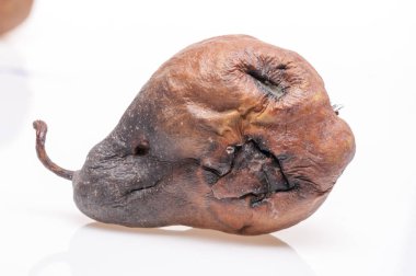 Buruşuk ve çürük kahverengi armut izole