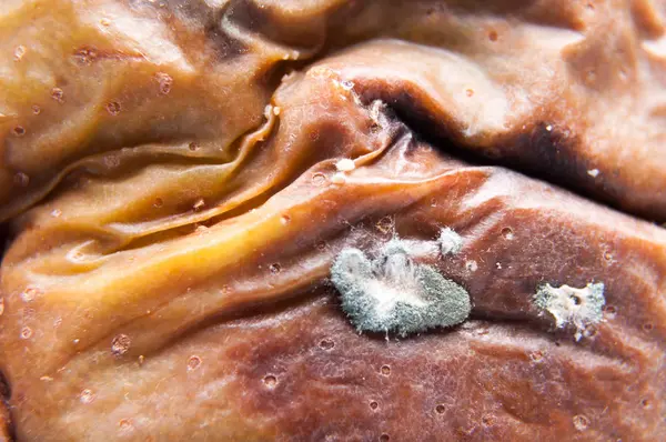 Морщинистая и гнилая коричневая груша изолирована — стоковое фото
