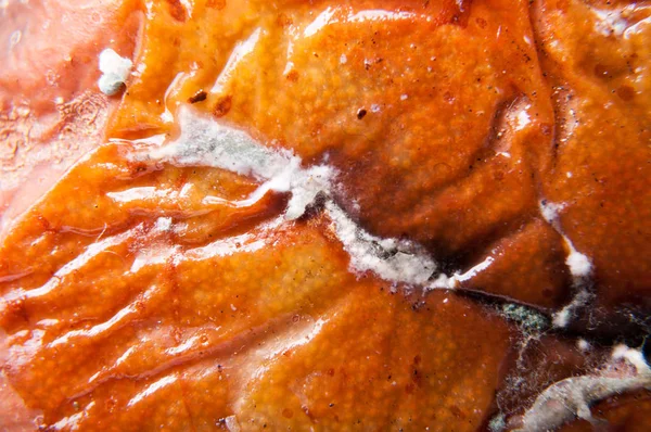 Zerknitterte und morsche braune Birne isoliert — Stockfoto