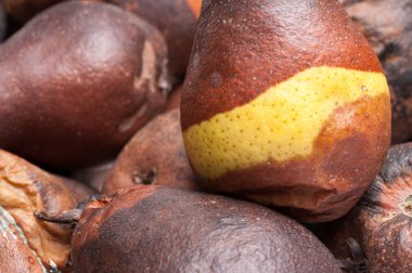 Buruşuk ve çürük kahverengi armut izole