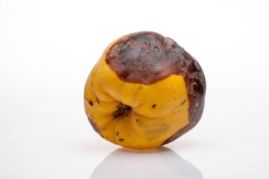 arka plan üzerinde çürüyen Ayva