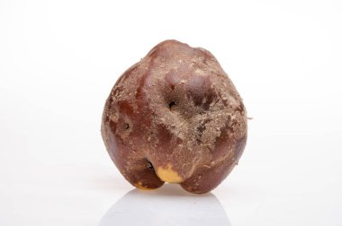 arka plan üzerinde çürüyen Ayva