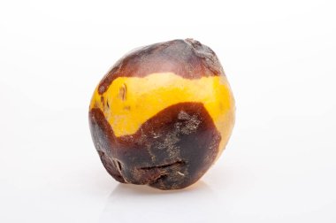 arka plan üzerinde çürüyen Ayva