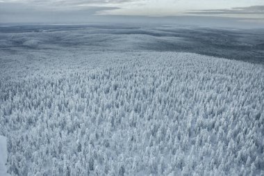     Poliudov taş, Krasnovishersk