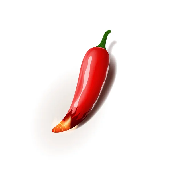 Realistic vector illustration of chili pepper is on fire. Isolated on white background. — Stock Vector