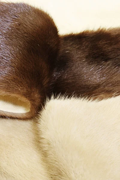 Fourrure de vison brun et clair — Photo