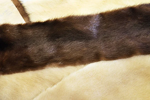 Fur of the brown and light mink — Stock Photo, Image