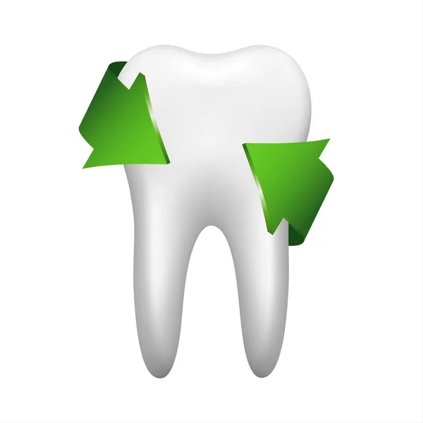Beyaz diş stomatology simgesi iki yeşil oklu — Stok Vektör