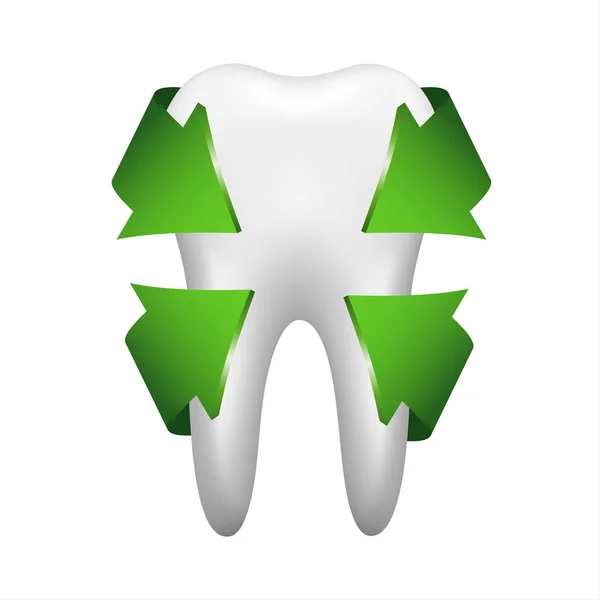 Beyaz diş dört yeşil oklarla beyaz arka plan üzerinde izole stomatology simgesi — Stok Vektör