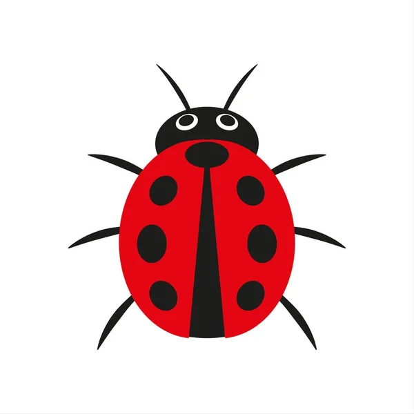 Semplice illustrazione vettoriale di coccinella rossa isolata su uno sfondo bianco — Vettoriale Stock