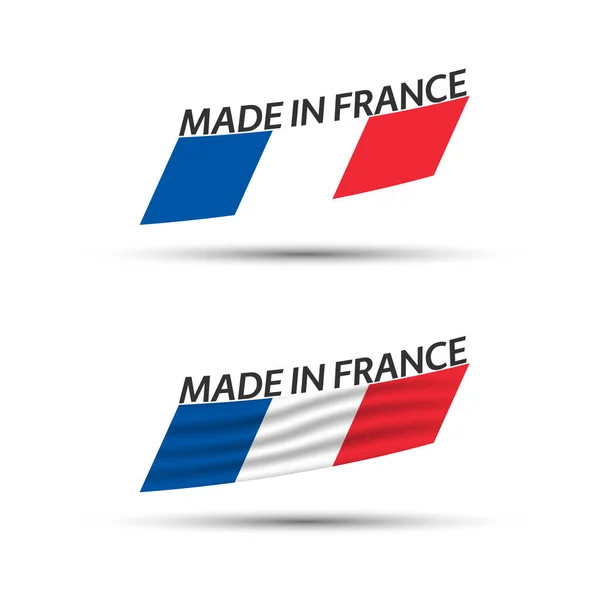 Ensemble Deux Drapeaux Vectoriels Couleur Moderne Avec Tricolore Français Isolé — Image vectorielle
