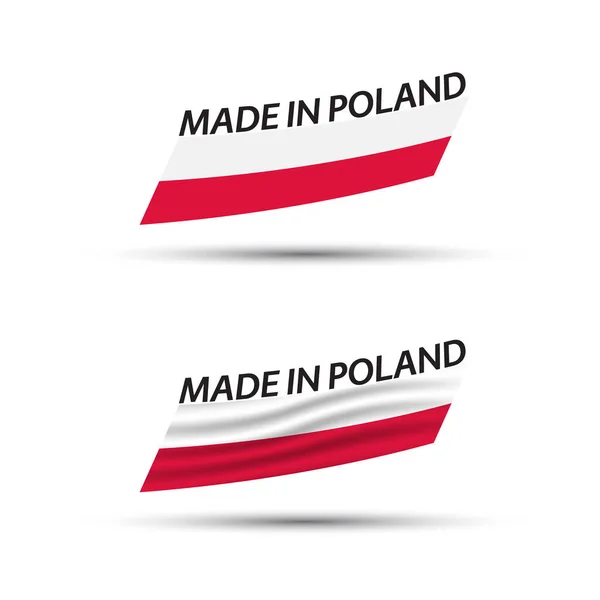 Два Современных Цветных Вектора Польские Флаги Изолированы Белом Фоне Флаги — стоковый вектор