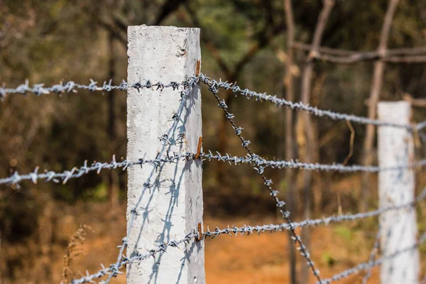 Wired barbed fences — Stock Photo, Image