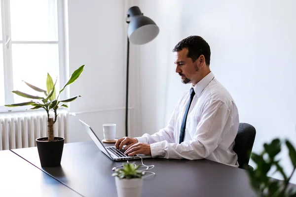 Hombre de negocios seguro usando el ordenador portátil —  Fotos de Stock