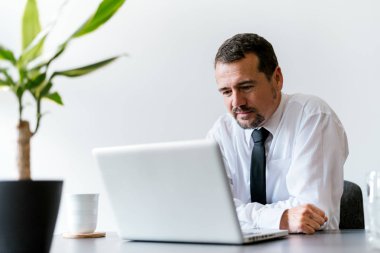 dizüstü bilgisayar kullanarak emin iş adamı 