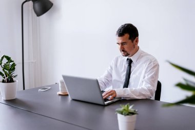 dizüstü bilgisayar kullanarak emin iş adamı 