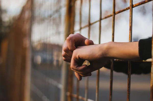 Hände ragen durch Gitter — Stockfoto