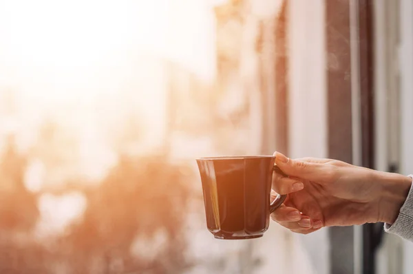 Woman holding cup of tea — Stock Photo, Image