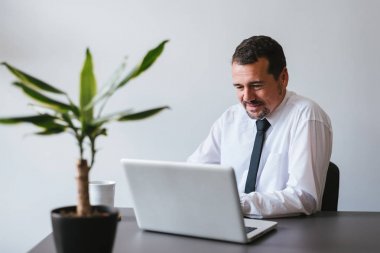 dizüstü bilgisayarda çalışan olgun iş adamı