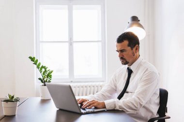 dizüstü bilgisayarda çalışan olgun iş adamı
