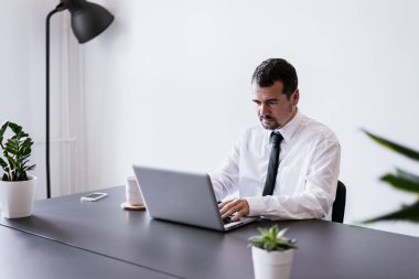 dizüstü bilgisayarda çalışan olgun iş adamı