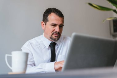 dizüstü bilgisayarda çalışan olgun iş adamı