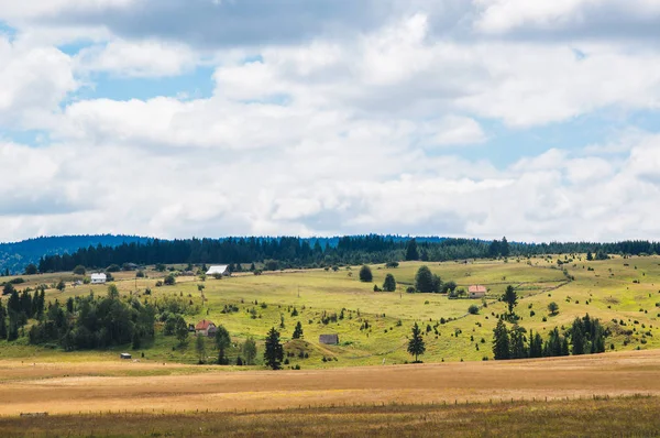 Paisaje rural. campo y hierba . — Foto de Stock