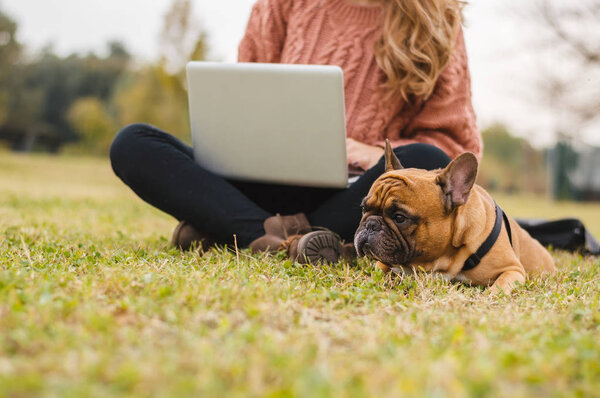 girl working  with french bulldog