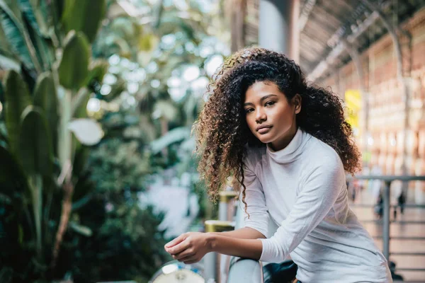 Mujer joven con el pelo rizado afro — Foto de Stock