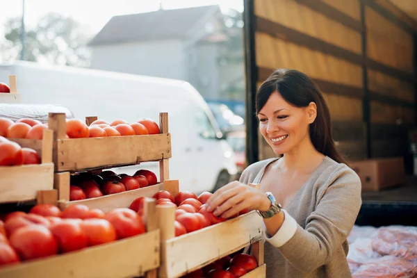 Женщина выбирает помидоры . — стоковое фото