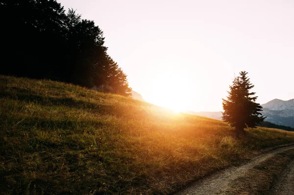 Dirt road leads to mountains — Stock Photo, Image