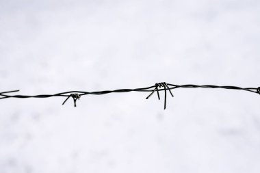 Kar zemin üzerine barbwire, yakın çekim