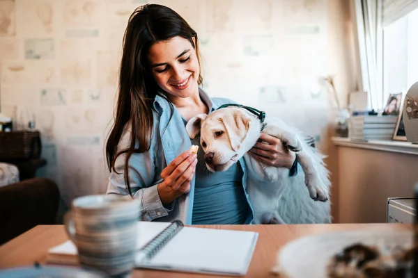 Young Brunette Woman Playing Dog Home — Stock Photo, Image