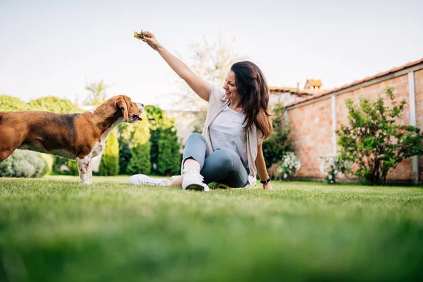 Mujer Jugando Con Beagle Perro Aire Libre — Foto de Stock