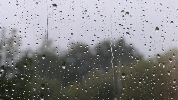 Chuva fora da janela. Uma chuva forte fora da janela. Gotas de chuva fluem pelo vidro . — Vídeo de Stock